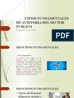 Principios Fundamentales de Auditoria Del Sector Publico