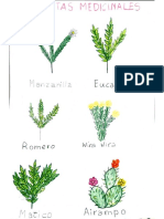 Plantas Medicinales