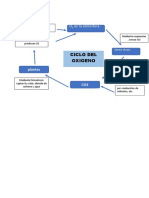 Tarea 1 Academica Grupal - Ciclos Biogeoquimicos