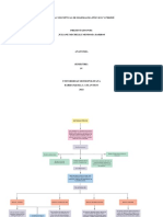 Mapa conceptual del diafragma pél vico y periné