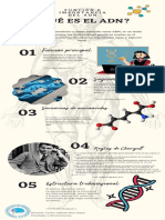Función e Importancia Del ADN