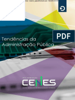 5.Tendências Da Administração Pública