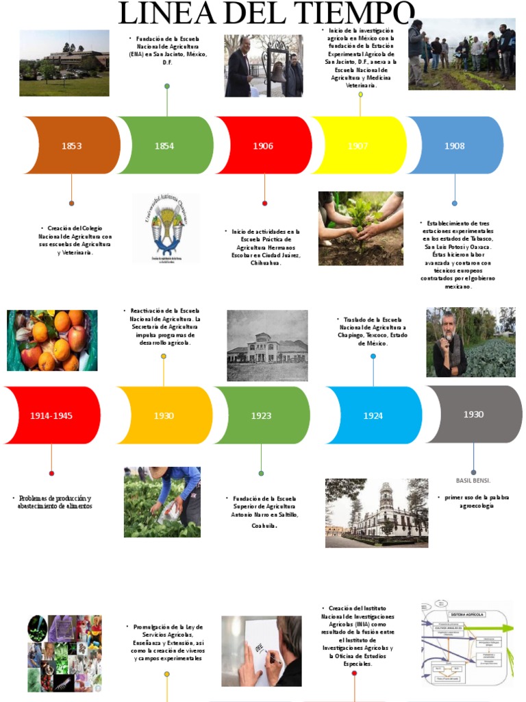 Línea del Tiempo de la Agricultura en México | PDF | Agroecología | Science