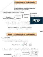 Tema 1 - Cinemática en 1 Dimensión