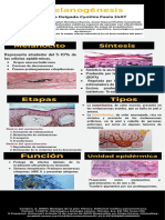 Melanogénesis: Síntesis y funciones de la melanina en la piel