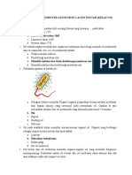 Sel Adalah Tingkat Terendah Dari Organisasi Kehidupan Dan Terbagi Menjadi Sel Prokariotik Dan Sel Eukariotik