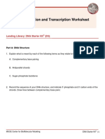 DNA Replication and Transcription Worksheet: Lending Library: DNA Starter Kit (DS)