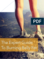Expert Guide Belly Fat FINAL