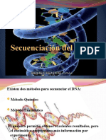 Secuenciación Del DNA