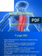 Fisioterapi pada Lesi MS