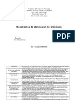 T6M3-Mecanismos de Eliminacion Del Amoniaco