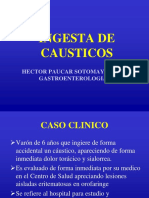 Ingestion Causticos