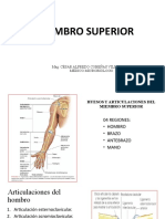 Anatomía Del Miembro Superior Uss 2020