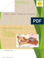 IPA-Bagian Telinga dan Fungsinya