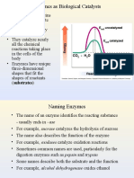 Enzymes As Biological Catalysts