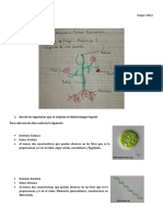 Biotecnología vegetal organismos aplicaciones