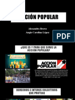 Acción Popular