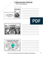 Dietary Determinants of Obesity
