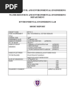 Download BOD Full Report by Khinwah Siew SN53711501 doc pdf