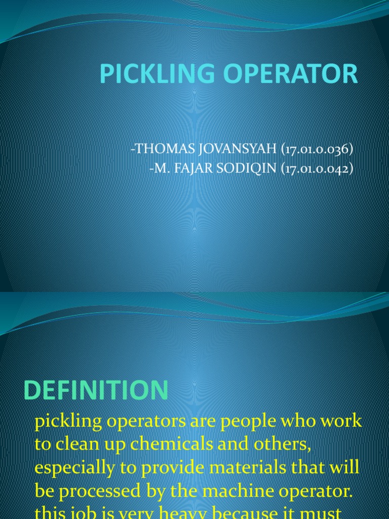 Pickling Operator | PDF