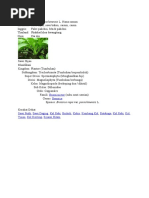 Download Sawi Hijau by Rayadi Sinaga SN53711956 doc pdf