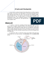 Lesson 6 - Cell Cycle and Checkpoints