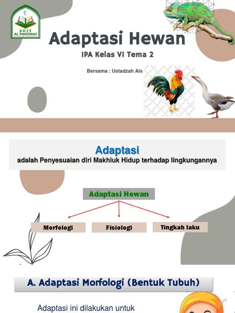 Contoh Adaptasi Hewan untuk Kelas VI | PDF