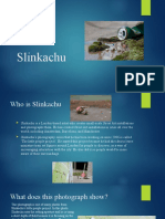 Slinkachu Presentation