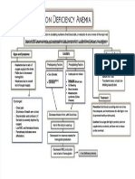 PDF Anemia Concept Map0000