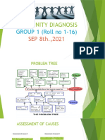 COMMUNITY DIAGNOSIS Group 1