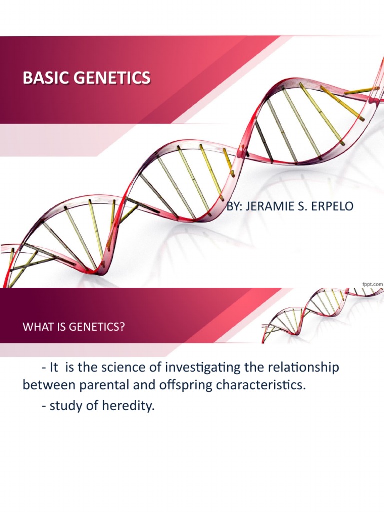 Basic Genetics Pdf – LECTURE 1 INTRO TO GENETICS – FUBJV