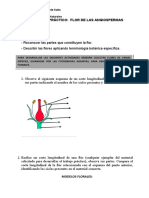 Trabajo Prácticofolor2020