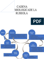 Cadena Epidemiologicade La Rubeola