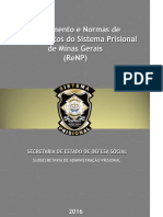 Regulamento e Normas de Procedimentos Do Sistema Prisional de Minas Gerais 28