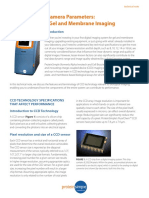 A Guide To CCD Camera Parameters: Applications For Gel and Membrane Imaging