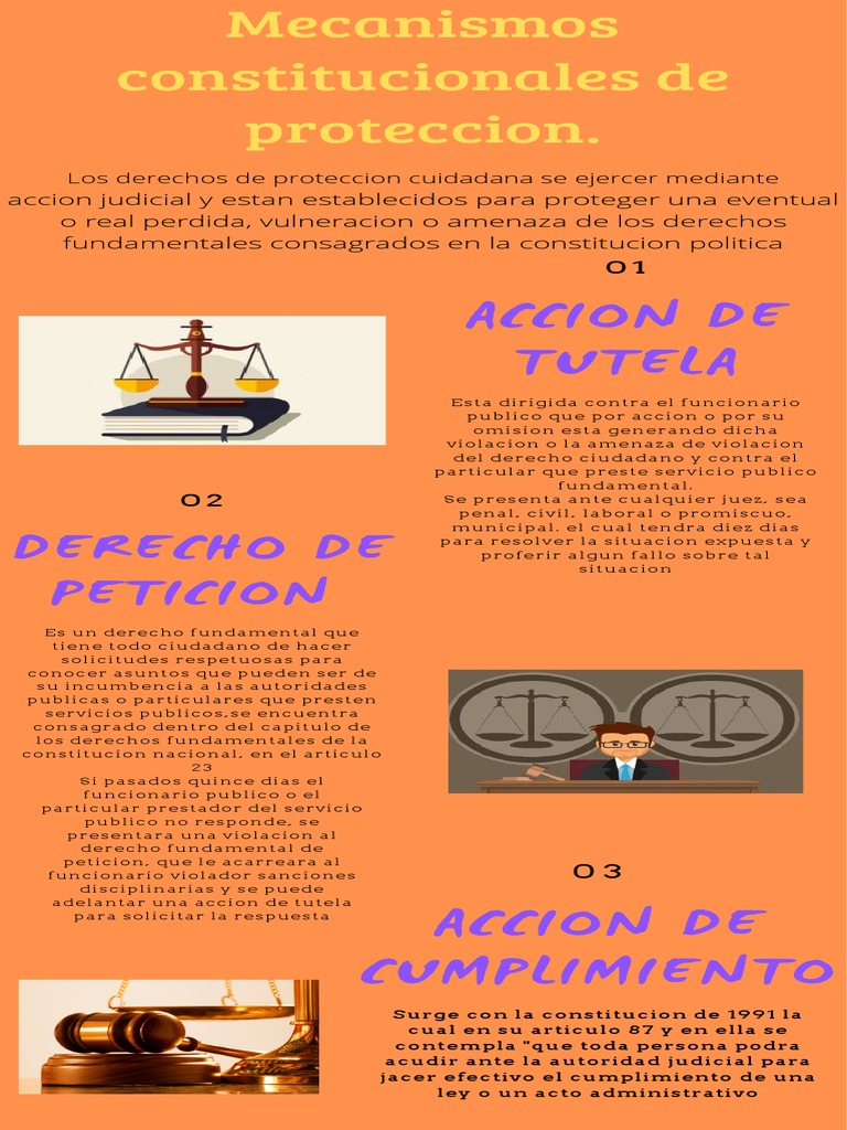 Mecanismos de Protección Constitucional | PDF | Derecho Constitucional ...