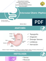 Presentación Úlceras Pépticas - Grupo IIB Dra. Cedeño