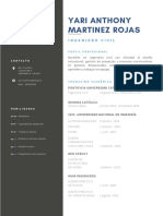 CV Yari Martinez Rojas
