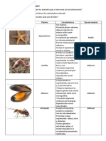 Trabajo Práctico N°10 Biología