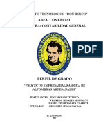 Perfil de Proyecto de Alfombras Final