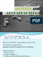 Bacteria and Archaebacteria