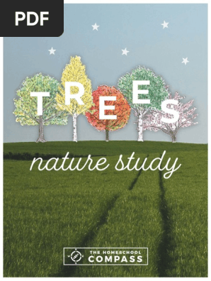 Tree Printable (1)