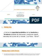 Aislamiento de Lactobacillus Probióticos en La Aceituna