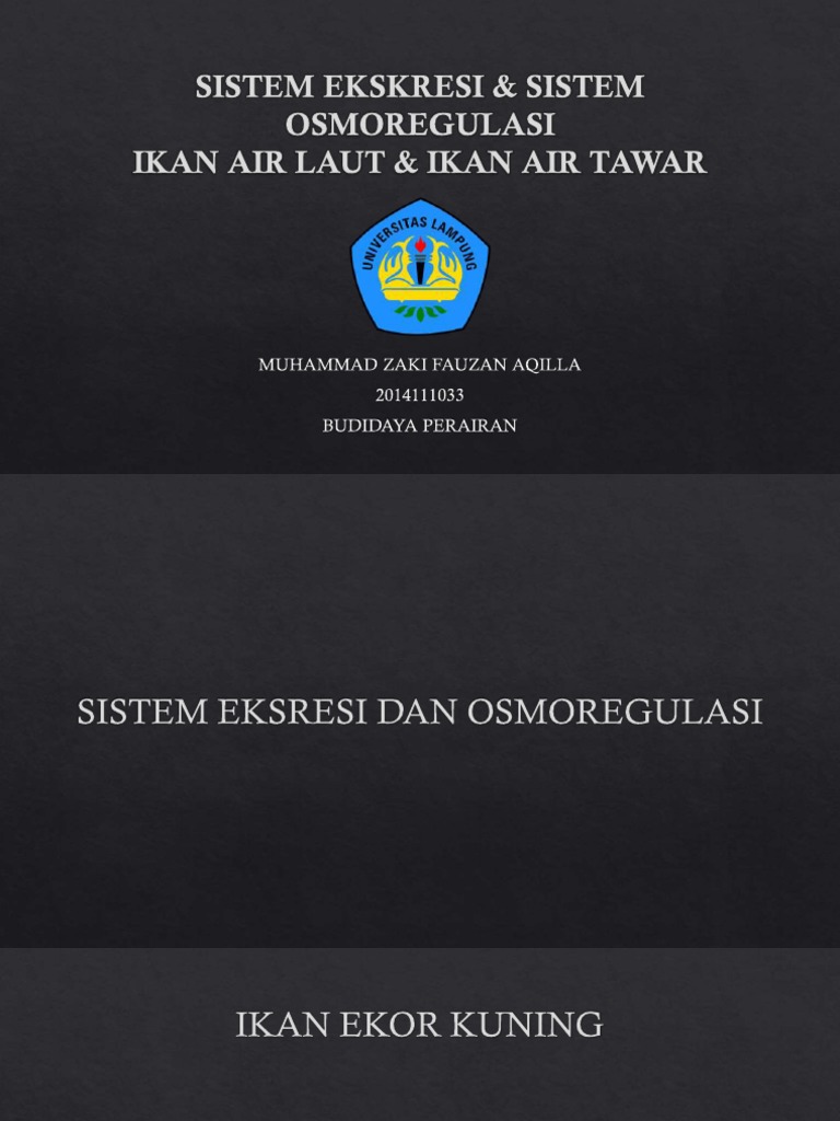 66 Bagaimana Mekanisme Ekskresi Ikan Air Laut Gratis Terbaik