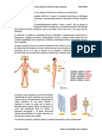 Tema 1. Concepto de Anatomia, Posicion Anatomica (Ejes y Planos)