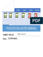 Evaluación Semanal Ger