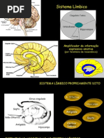 sistema limbico
