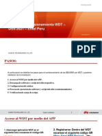 Manual de WDT (DSS 2021) - v2