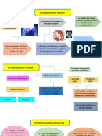 Envejecimiento Cerebral y Muscular