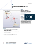 Cell Stem Cell Format